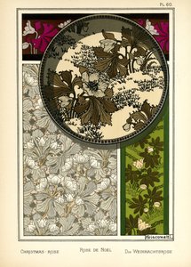 The Christmas Rose by Giovanni Giacometti
